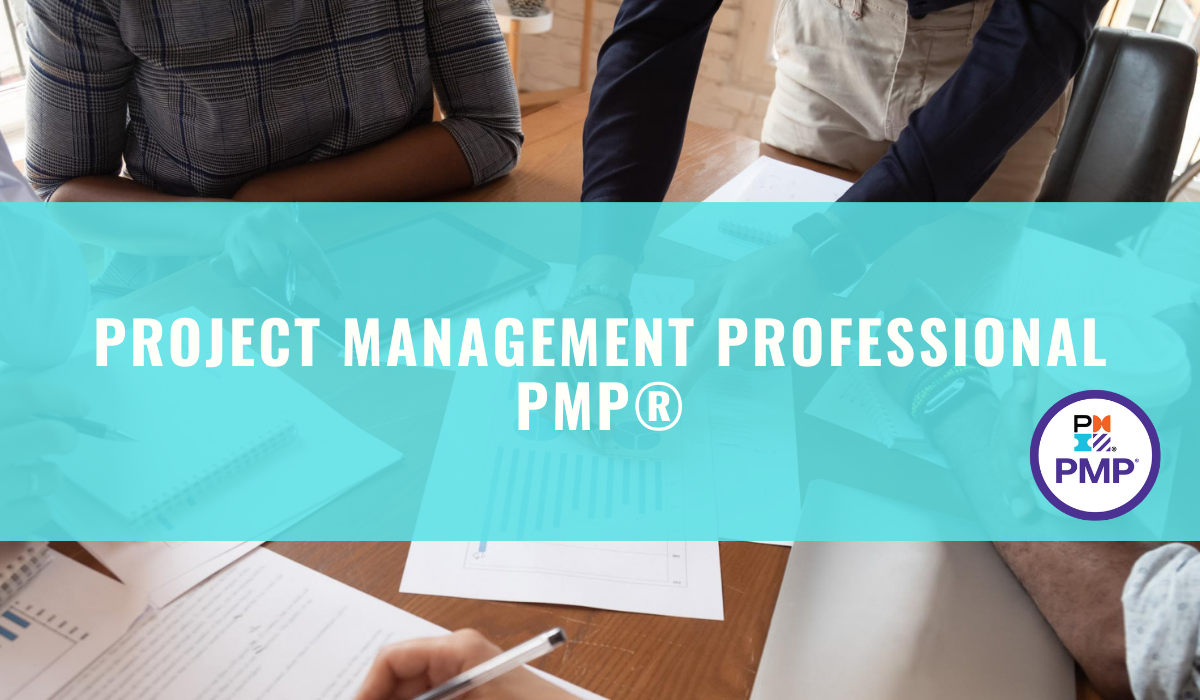 PROJECT MANAGEMENT PROFESSIONAL (PMP)®