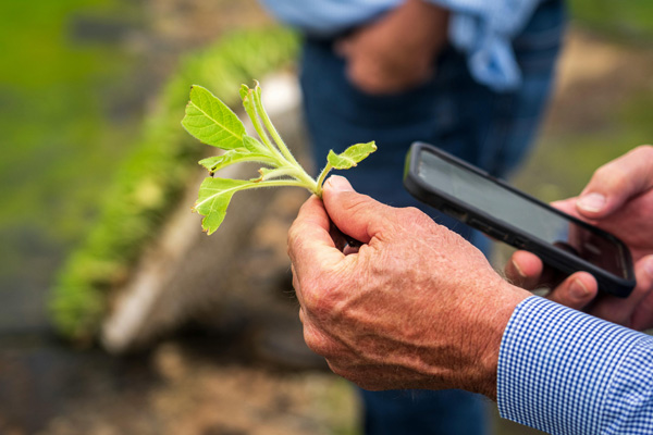 Agriculture de précision et digitalisation