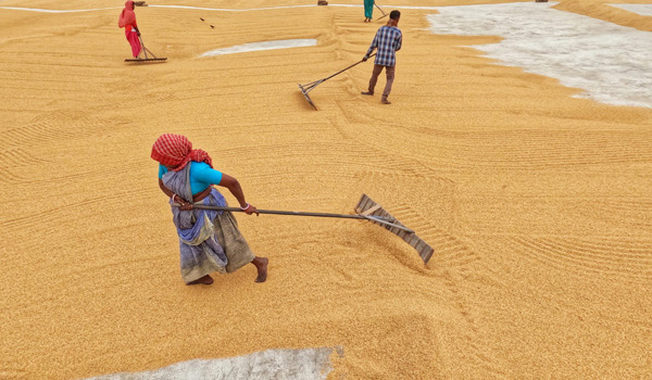 Bonnes pratiques agricoles et normes sanitaires internationales