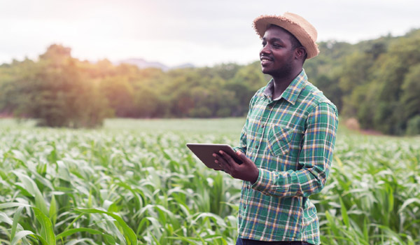 Manager Spécialiste en Entrepreneuriat agricole