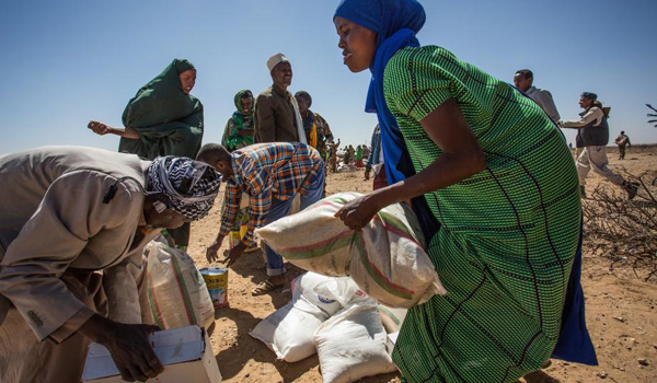 Manager Spécialiste en Gestion des crises alimentaires