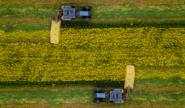 Manager Spécialiste en Suivi et Evaluation des Projets Agricoles