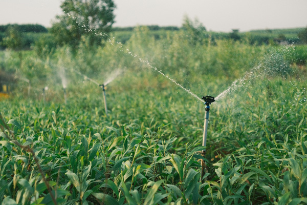 Systèmes d’irrigation innovants et gestion durable de l’eau agricole